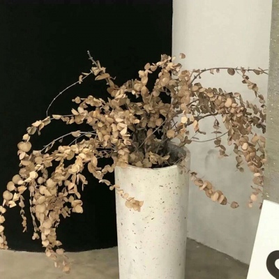 二次元兽设设计技巧FurryQQ群